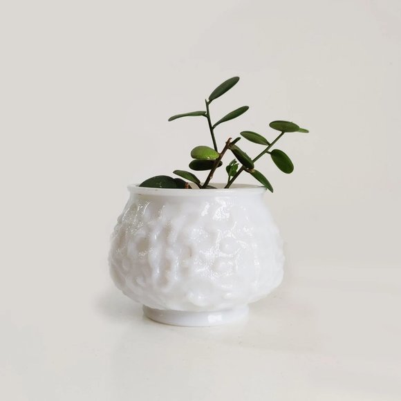COPY - VINTAGE EO Brody White Milk Glass | Planter | Floral Vase - Picture 2 of 6